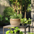 SQOWL Ceramic Plant Pot - 10 Inch Large Planter with Drainage Hole and Saucer, Round Modern Planter for Indoor Plant Outdoor, Decorative Ceramic Flower Pot, Porch Decor, Garden Gift for Women, Yellow