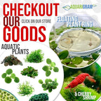 Aquarigram Floating Plant Combo Pack! (Amazon Frogbit, Red Root Floater, Dwarf Water Lettuce, Water Spangles) (Plants Only)