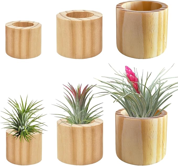 Belit 6 Pcs Air Plant Holder, 3 Sizes Wooden Air Plants Live Holders for Home Decor (NO Plant Included)