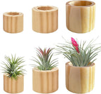 Belit 6 Pcs Air Plant Holder, 3 Sizes Wooden Air Plants Live Holders for Home Decor (NO Plant Included)
