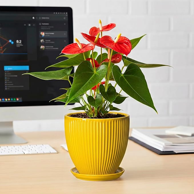 6 Inch Plant Pot, Ceramic Planter with Drainage Hole and Saucer, Decorative Small Plant Pots for Indoor Plants, Modern Round Flower Pot, Home Office Room Decor, House Warming Gifts, Yellow