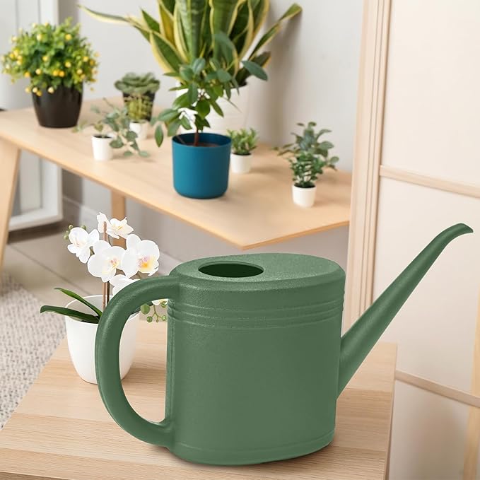 Watering Can - for Indoor and Outdoor Plant Garden - 1/4 Gallon - Green