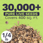 Wildflower Seeds Edible Flowers Mix - Bulk 1/4 Pound Bag Over 30,000 Open Pollinated Annual and Perennial Seeds