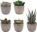Set of 5 Artificial Succulent Plants in Pots - Lifelike Fake Succulents for Desk Decor, Low--Maintenance Home & Office Decor Gift