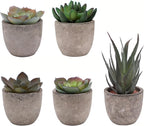 Set of 5 Artificial Succulent Plants in Pots - Lifelike Fake Succulents for Desk Decor, Low--Maintenance Home & Office Decor Gift