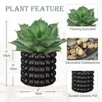 Briful Succulents Plants Artificial for Home Decor, Realistic Potted Fake Agave Plant, Bubbled Plant Pot, Cute Agave Ovatifolia Faux Plant, Shelf Tables Decor, Modern Farmhouse Home Decorations