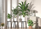 Wood Plant Stands Indoor, 16.7" Tall Plant Stand Outdoor Mid-Century Plant Stool, Single Plant Table Modern Small Round Side/End Table for Living Room, Balcony, Office(Black)