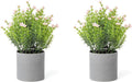 2 Pack Small Desk Plants, Artificial Bathroom Plants Decor with Thyme Flower in Vintage Melamine Pots, Faux Plants Indoor for Shelf Decor in Home Office, and Spring Decor (Pink)