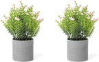 2 Pack Small Desk Plants, Artificial Bathroom Plants Decor with Thyme Flower in Vintage Melamine Pots, Faux Plants Indoor for Shelf Decor in Home Office, and Spring Decor (Pink)