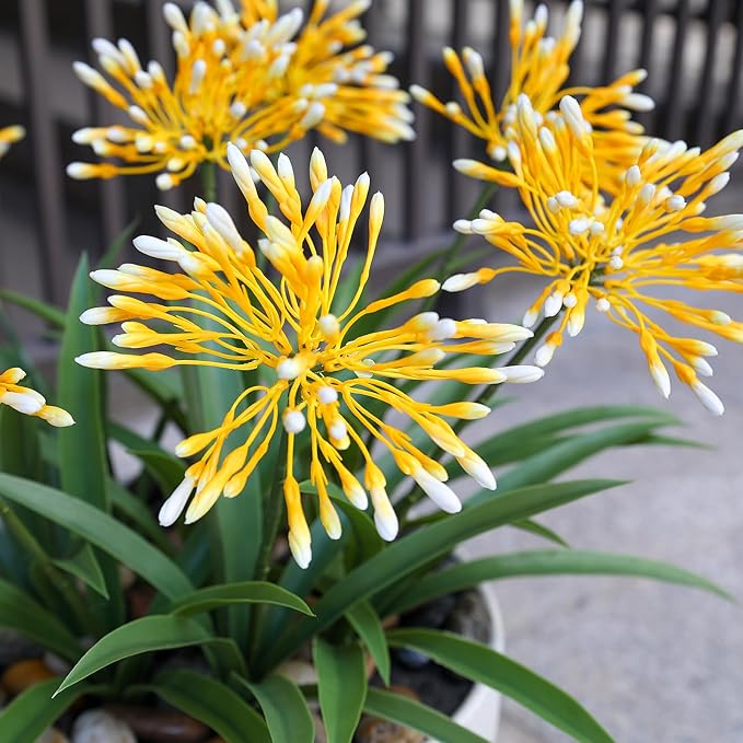 Fake Plants Outdoor with Flowers Artificial Large Plastic Faux Flower 8 Bundles 18.9 in Spring Summer Decoration for Patio Front Porch Platers Decor Outside