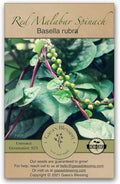 Gaea's Blessing Seeds - Red Malabar Spinach Seeds - Non-GMO Seeds with Easy to Follow Planting Instructions - Heirloom Red Stemmed Malabar - 93% Germination Rate