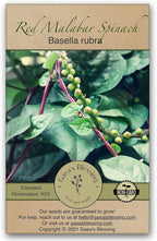 Gaea's Blessing Seeds - Red Malabar Spinach Seeds - Non-GMO Seeds with Easy to Follow Planting Instructions - Heirloom Red Stemmed Malabar - 93% Germination Rate