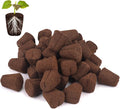 50 Pcs Grow Sponges,Replacement Seed Starter Plugs for Cuttings,Great for Soil, Tray or Planting Pods, Promotes Herbs, Vegetables and Flowers Growth