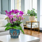 W&W Orchid Pot with Holes and Saucer for Repotting, Teal, 6.5"