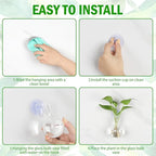 Bunmery 6 pcs Window Propagation Stations, Easy to Install Plant Propagation Bulbs with Suckion Cups, No Nails Wall Hanging Planter Propagation Station, Glass Plant Terrarium Vase