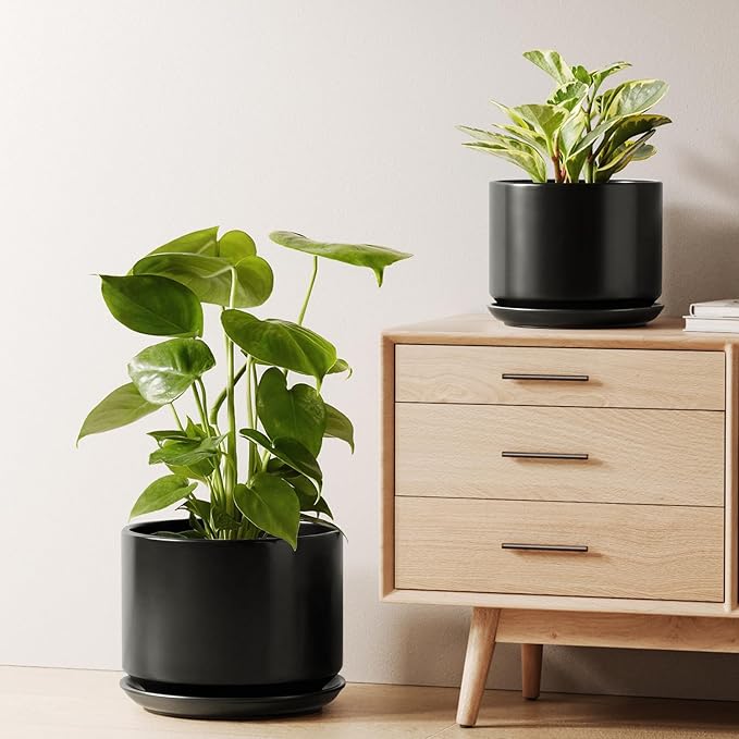 LE TAUCI Ceramic Plant Pots, Set of 2, 8+10 Inch Plant Pots Indoor with Drainage Hole & Saucer, Sturdy Planters for Indoor Plants, Modern Minimalist Decor for Snake Plant, Monstera, Black