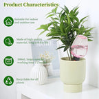 6pcs Plant Self Watering Globes, Plastic Water Bulbs Top Fill, 12.3 oz Plant Watering Devices System Slow Release Terracotta, Water Spikes Stakes for Indoor (Pink-6pack)