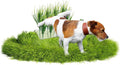 6 PCS Fake Grass Plants Pee Post for Dogs to Pee on, Reusable Washable Artificial Grass for Guiding Male Dogs to Urine and Preventing Urine from Splashing Everywhere