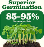 HOME GROWN 55 Vegetable Seeds Pack 28,000+ Non-GMO Heirloom Seeds for Planting Vegetables, Survival Seed Vault, Garden Kit for Spring Fall Winter, Gift for Gardeners