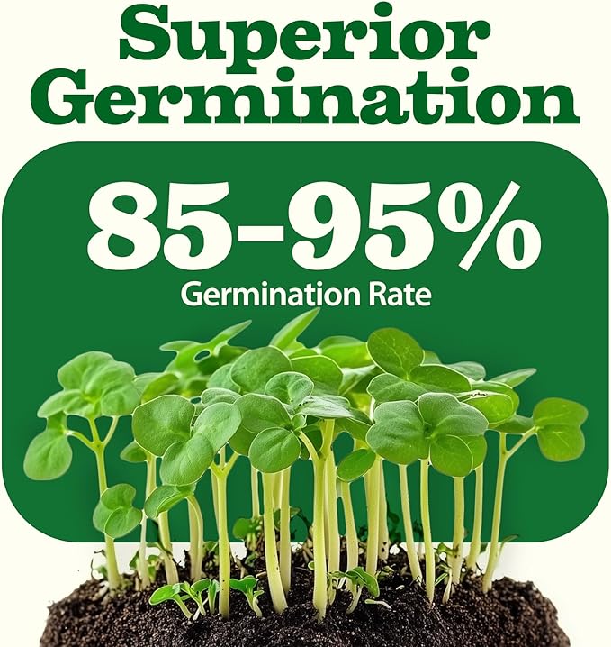 HOME GROWN 55 Vegetable Seeds Pack 28,000+ Non-GMO Heirloom Seeds for Planting Vegetables, Survival Seed Vault, Garden Kit for Spring Fall Winter, Gift for Gardeners