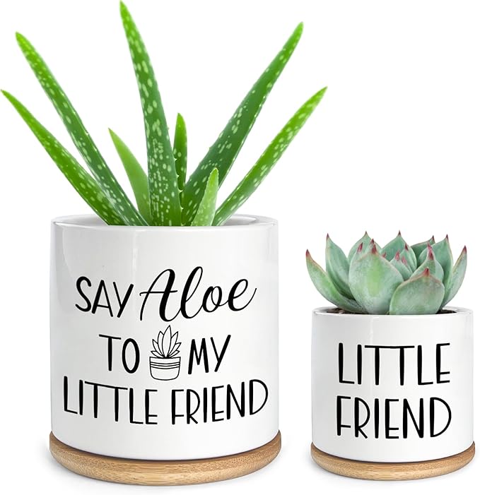 Say Aloe to My Little Friend Small Planter Pot, Funny Succulent Planter Pots Set of 2, Windowsill Decor Indoor, Small Succulent Pots for Women Plant Lovers, 3.5 inch (Plant Not Included)