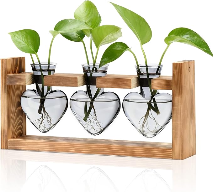Nacome Plant Terrarium Propagation Stations: Mothers Day Gifts for Mom Plant Lovers Women Wife Daughter - 3 Bulb Glass Vase with Wooden Stand Tabletop for Hydroponics Home Garden Decor(Gray)