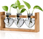 Nacome Plant Terrarium Propagation Stations: Mothers Day Gifts for Mom Plant Lovers Women Wife Daughter - 3 Bulb Glass Vase with Wooden Stand Tabletop for Hydroponics Home Garden Decor(Gray)