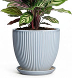 Ceramic Flower Pots, 6 Inch Plant Pot for Indoor Plants, Modern Ceramic Planter with Drainage Hole and Saucer, Small Orchid Pots, Home Decor, Gifts for Plant Lovers Women Men, Light Blue