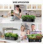 NEEWER Basics Hydroponics Growing System Kit with LED Plant Light/3 Growing Modes/12 Pods/Timer/LCD/Smart Quiet Pump, Touch Light Planter for Herb Garden Vegetables Flowers Indoor Gardening, HGS01