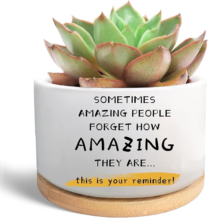 Inspirational Gifts for Coworker Teacher, Funny Succulent Plant Pot, Cactus Flower Planter, Office Decor Positive Gifts for Women Men Friend Boss Manager (Plants Not Included)