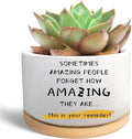 Inspirational Gifts for Coworker Teacher, Funny Succulent Plant Pot, Cactus Flower Planter, Office Decor Positive Gifts for Women Men Friend Boss Manager (Plants Not Included)