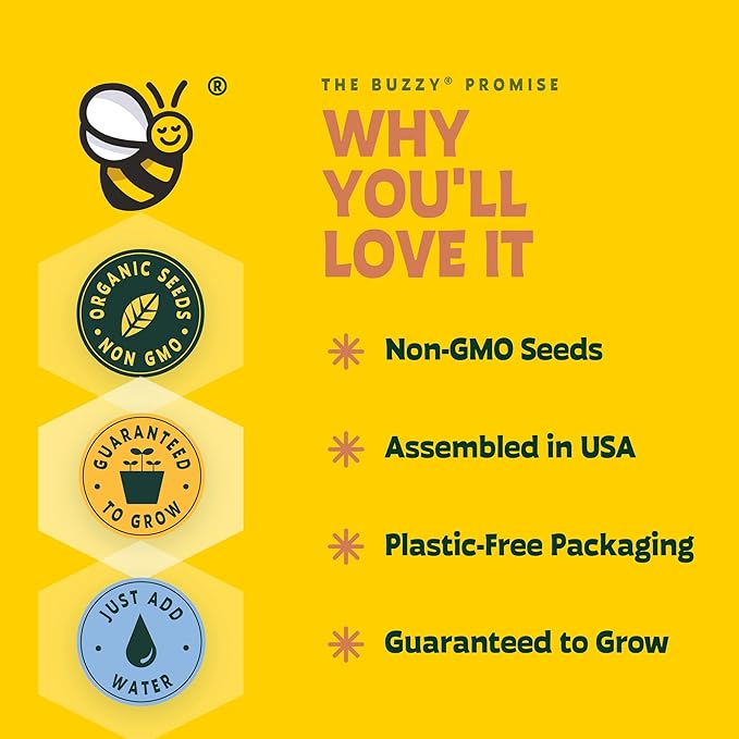 Buzzy Seeds My First Garden Windowsill Grow Kit, Tomato and Marigold Seeds, Indoor Gardening Starter Set for Beginners, Fun DIY Planting Project Gift, New Home Present