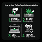 ThriveCaps Aquarium Root Cabs – Premium Root Fertilizer for Live Plants – Slow Release – Strong NPK + Micros – Safe for Shrimp & Snails – 60 Count