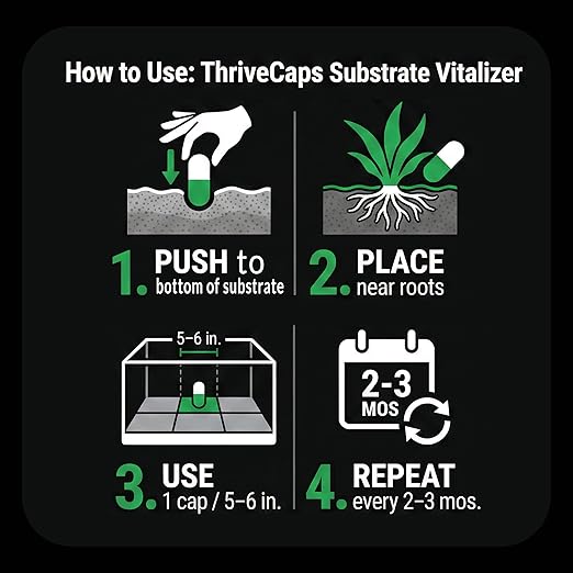 ThriveCaps Aquarium Root Cabs – Premium Root Fertilizer for Live Plants – Slow Release – Strong NPK + Micros – Safe for Shrimp & Snails – 60 Count