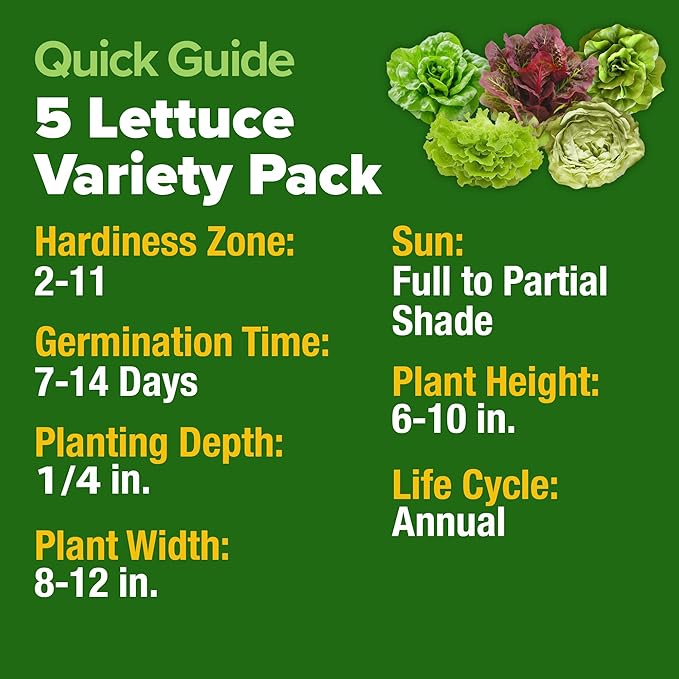 HOME GROWN Lettuce Seeds 5 Variety Mix 3950+ Bulk Pack Heirloom Non-GMO, High Germination, Romaine, Bibb, Buttercrunch, Iceberg, Black Seeded Simpson, Indoor Outdoor Hydroponic Garden (Lactuca sativa)