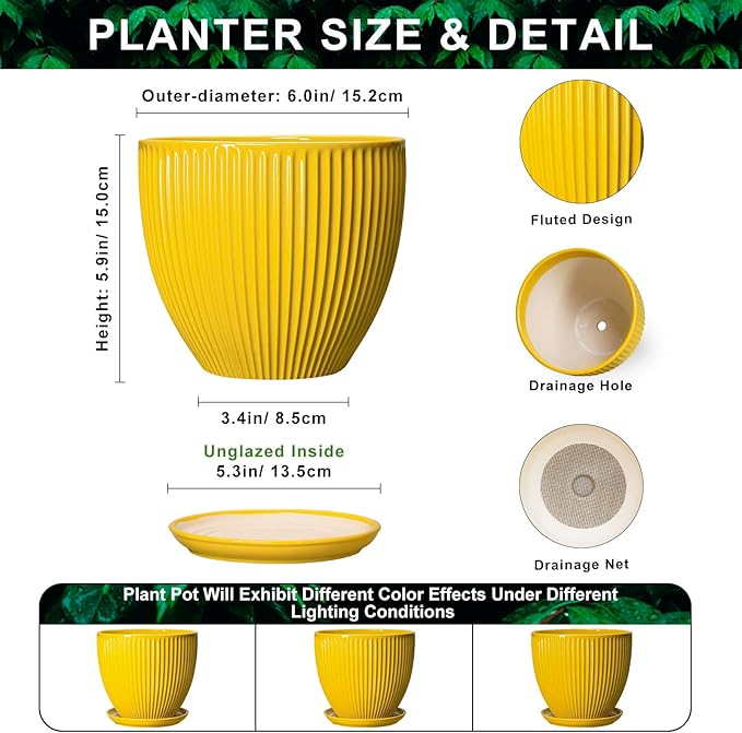 6 Inch Plant Pot, Ceramic Planter with Drainage Hole and Saucer, Decorative Small Plant Pots for Indoor Plants, Modern Round Flower Pot, Home Office Room Decor, House Warming Gifts, Yellow