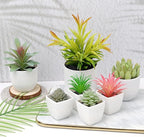 7 Pack Small Fake Plants Artificial Succulent Plants Assorted Mini Faux Succulent Decoration Greenery for Living Room Home Office Shelf