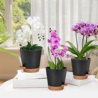 Vanslogreen Orchid Pots with Holes, 6 Inch Self Watering Orchid Pot 2 Pack Plastic Plant Pots for Orchid, Flower (Black+Brown)