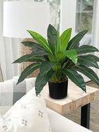 GnFlus Faux Plants 17'' Dracaena Artificial Plants Indoor Yucca Fake Potted Plant with 19 Leaves Tropical Silk Plant for Home Living Room Dining Table Kitchen Counter Office Shelf Décor