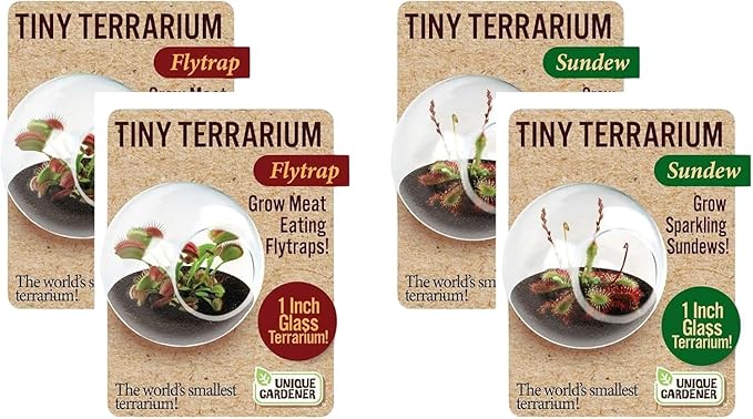 Unique Gardener Tiny Terrarium Plant Seeds 2 Variety Pack, DIY Indoor Succulents and Live Plants for Home or Garden Planting, 2 Eack of Assorted Carnivorous Pack
