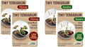 Unique Gardener Tiny Terrarium Plant Seeds 2 Variety Pack, DIY Indoor Succulents and Live Plants for Home or Garden Planting, 2 Eack of Assorted Carnivorous Pack