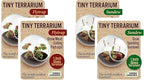 Unique Gardener Tiny Terrarium Plant Seeds 2 Variety Pack, DIY Indoor Succulents and Live Plants for Home or Garden Planting, 2 Eack of Assorted Carnivorous Pack