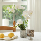 White Fake Orchids Flowers in Pot Bendable Faux Orchids Artificial Flowers Washable Silk Orchid Phalaenopsis Decor for Home Wedding Table Centerpiece Bathroom Office