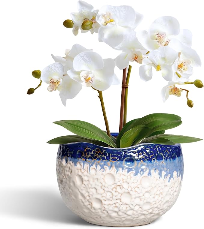 Ceramic Plant Pots - 6 Inch Orchid Pot for Indoor Outdoor Plants, Unique Pots for Plants with Drainage Hole and Plug, Modern Round Planter, Garden House Decor, Housewarming Gifts, Beige-blue