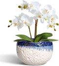 Ceramic Plant Pots - 6 Inch Orchid Pot for Indoor Outdoor Plants, Unique Pots for Plants with Drainage Hole and Plug, Modern Round Planter, Garden House Decor, Housewarming Gifts, Beige-blue