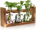 Plant Terrarium Propagation Stations Hydroponics Halloween Skull Planter Vase Skulls Decor with Wooden Stand Gife for Father