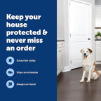 PetSafe SSSCAT Refill Can for Motion Activated Automatic Spray Pet Deterrent for Cats and Dogs, Pack of 3