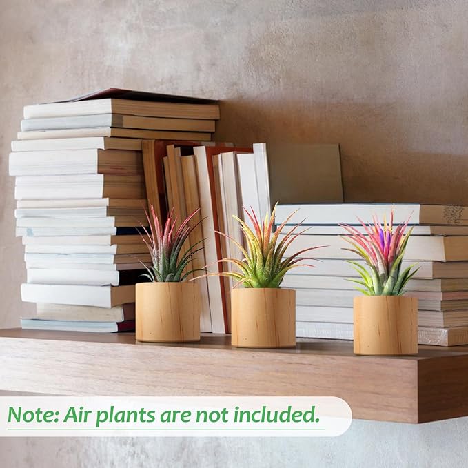 Bigmeta 3 Pcs Wood Air Plant Holder, 1.4" Rustic Style Airplant Display Stands for Women Gifts