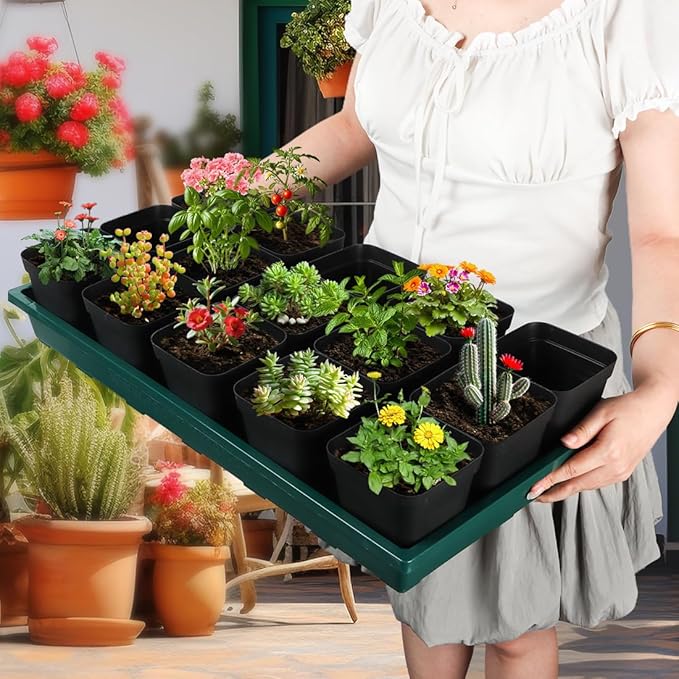 RooTrimmer 1020 Nursery Pots Trays 5 Pack, Plastic Flat Seed Starter Trays, Durable Seedling Potting Tray for Carrying and Holding Planting Pot (Green)