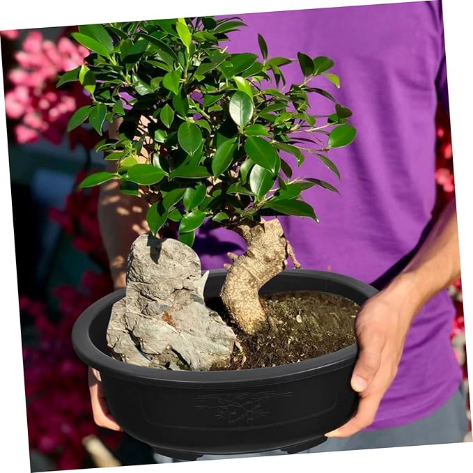 Angoily Bonsai Pots, 2PCS Bonsai Training Pot, 15 Inch Tree with Drainage Tray, Deep Oval Planter for Desktop, Garden, Balcony, Plastic Asian Tall Training